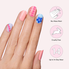 Dashing Diva kit contents laid out for clear application steps