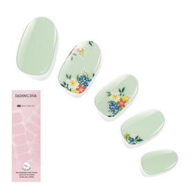 Dashing Diva front packaging showing Fairy Garden kit and benefits