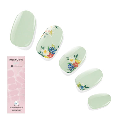Dashing Diva front packaging showing Fairy Garden kit and benefits