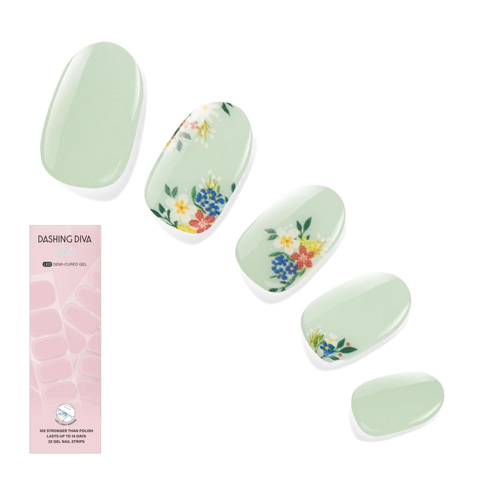 Dashing Diva front packaging showing Fairy Garden kit and benefits