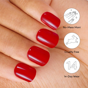 Dashing Diva included tools file stick prep pad for easy application