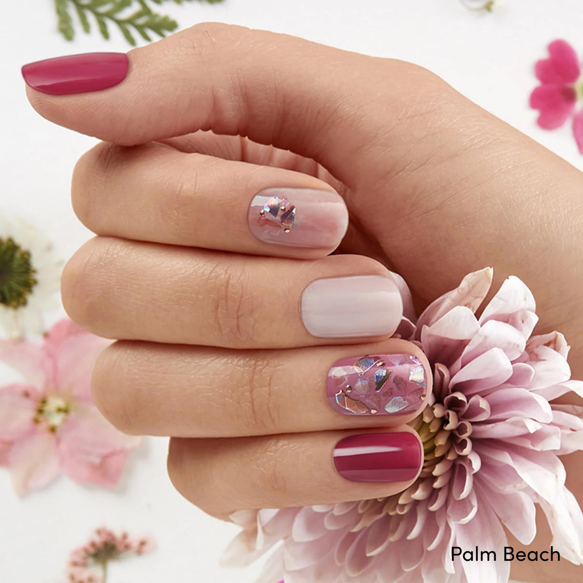 Dashing Diva Palm Beach accent detail showcasing pattern variety and vibrant color payoff