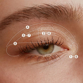 dasique eyeshadow in use on model demonstrating day-to-night versatility