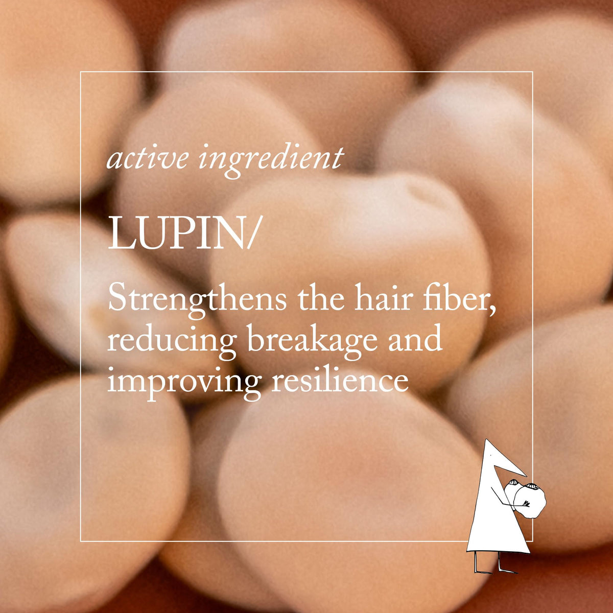 Davines NOUNOU label close-up showing regenerative lupin extract ingredient benefit
