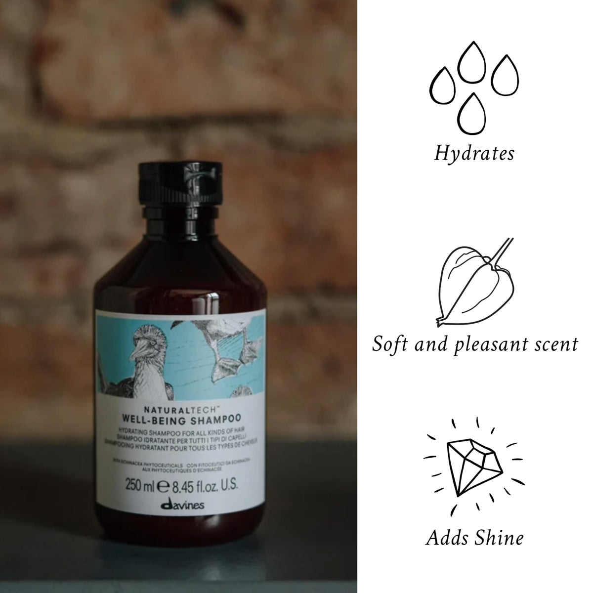 Davines echinacea ingredient close-up highlighting botanical phytoceutical benefit