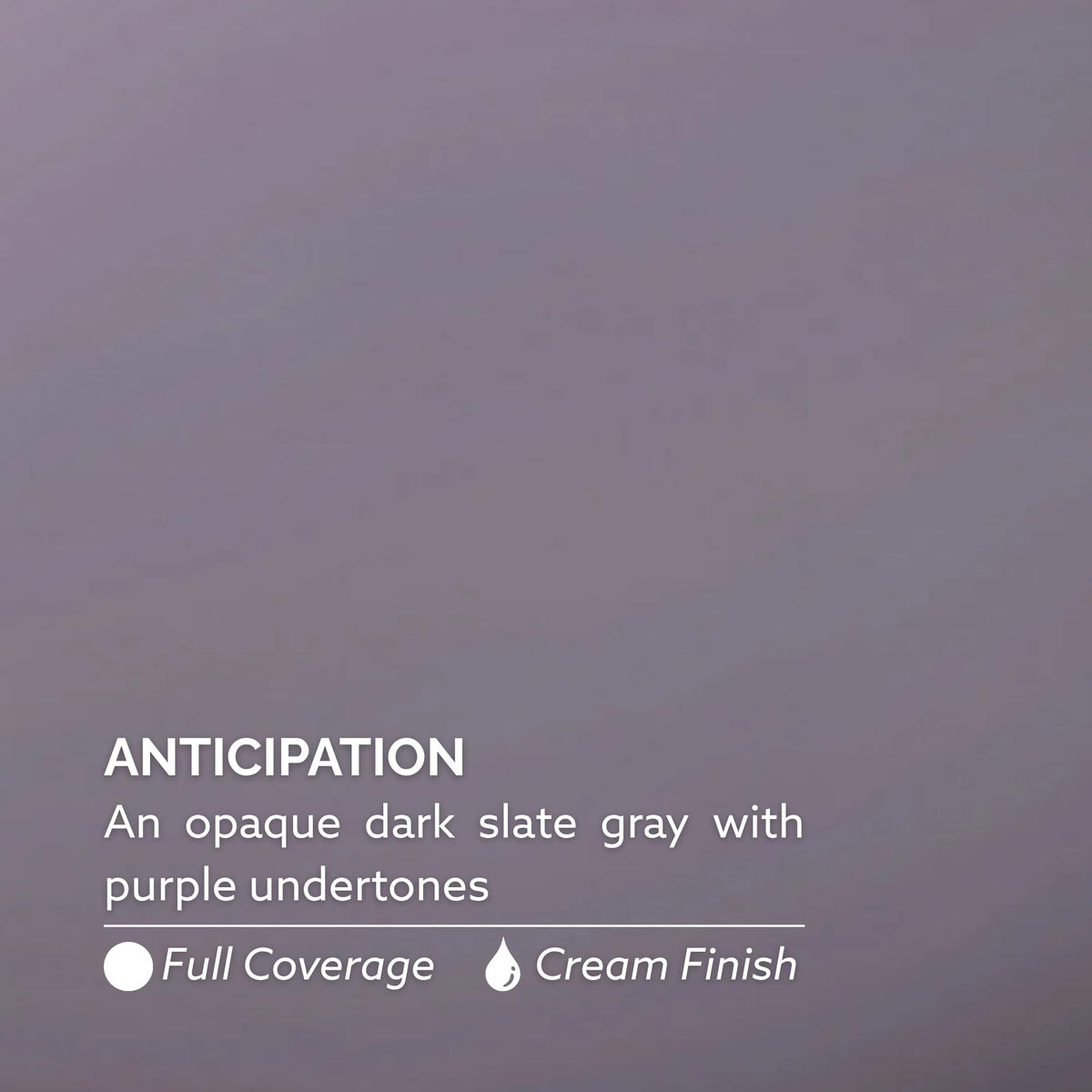 Dazzle Dry brush close-up showing smooth bristles for even lacquer application