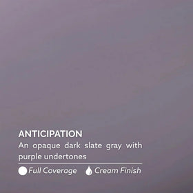 Dazzle Dry brush close-up showing smooth bristles for even lacquer application