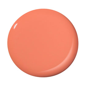 Dazzle Dry round trip brush and bottle detail demonstrating smooth application benefit