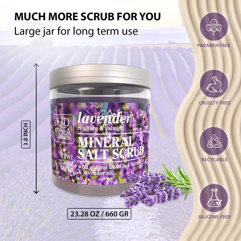 Dead Sea Collection clear ingredient label showing Dead Sea minerals and oils benefit