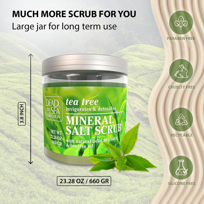 Dead Sea Collection open jar showing oil layer and moisturizing action