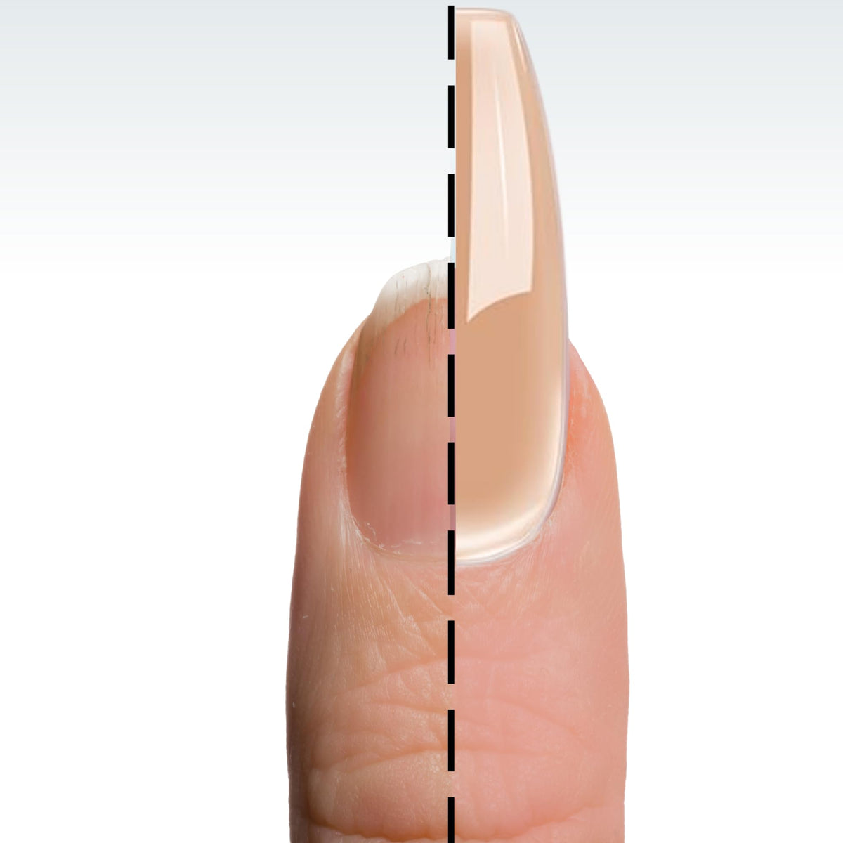 Side profile of a sculpted extension created with DeEnti powder demonstrating strong hold