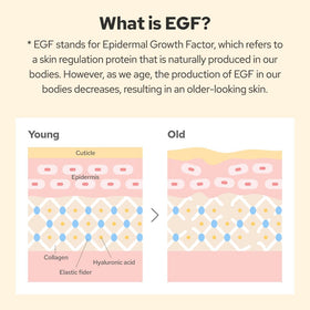 De:maf ingredient illustration highlighting peptides collagen and hyaluronic acid for renewal