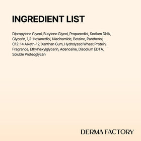 DERMA FACTORY boxed set with bottle emphasizing gift-ready presentation and authenticity