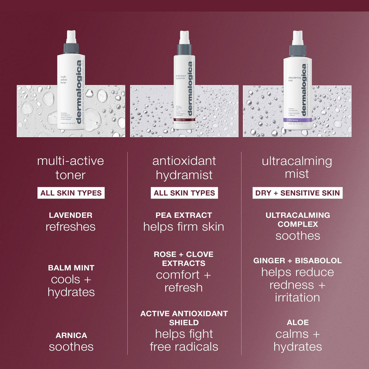 Dermalogica label close-up highlighting product name and antioxidant benefits