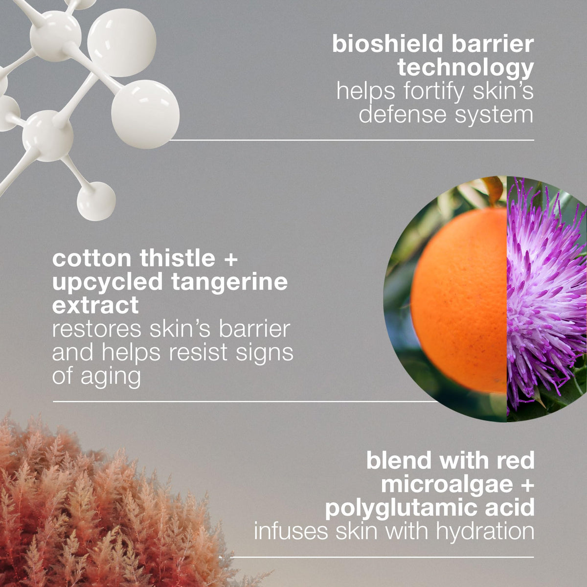 Dermalogica bottle label detail showing BioShield technology and ingredient clarity benefit