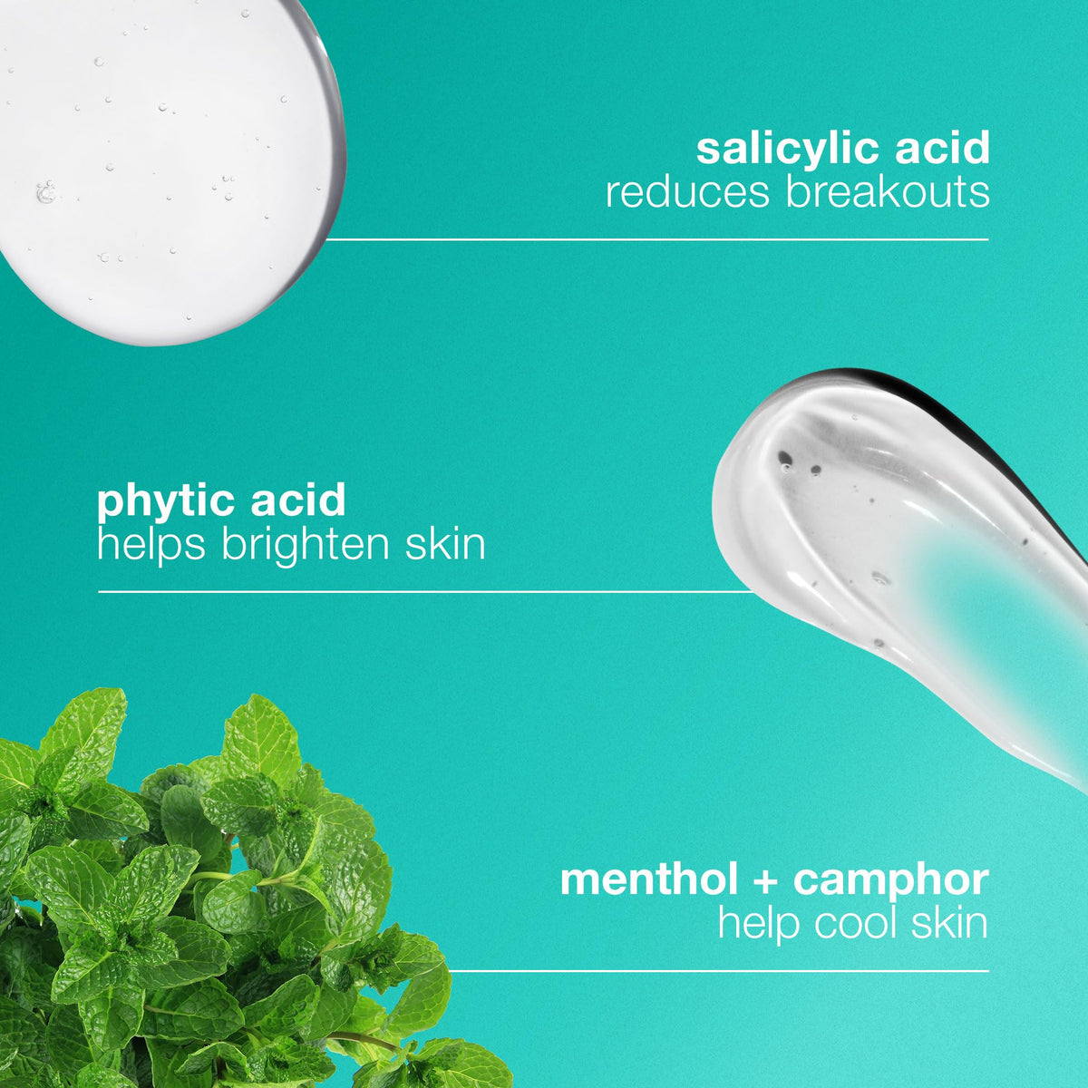 Dermalogica ingredient display with salicylic acid and tea tree for clarity