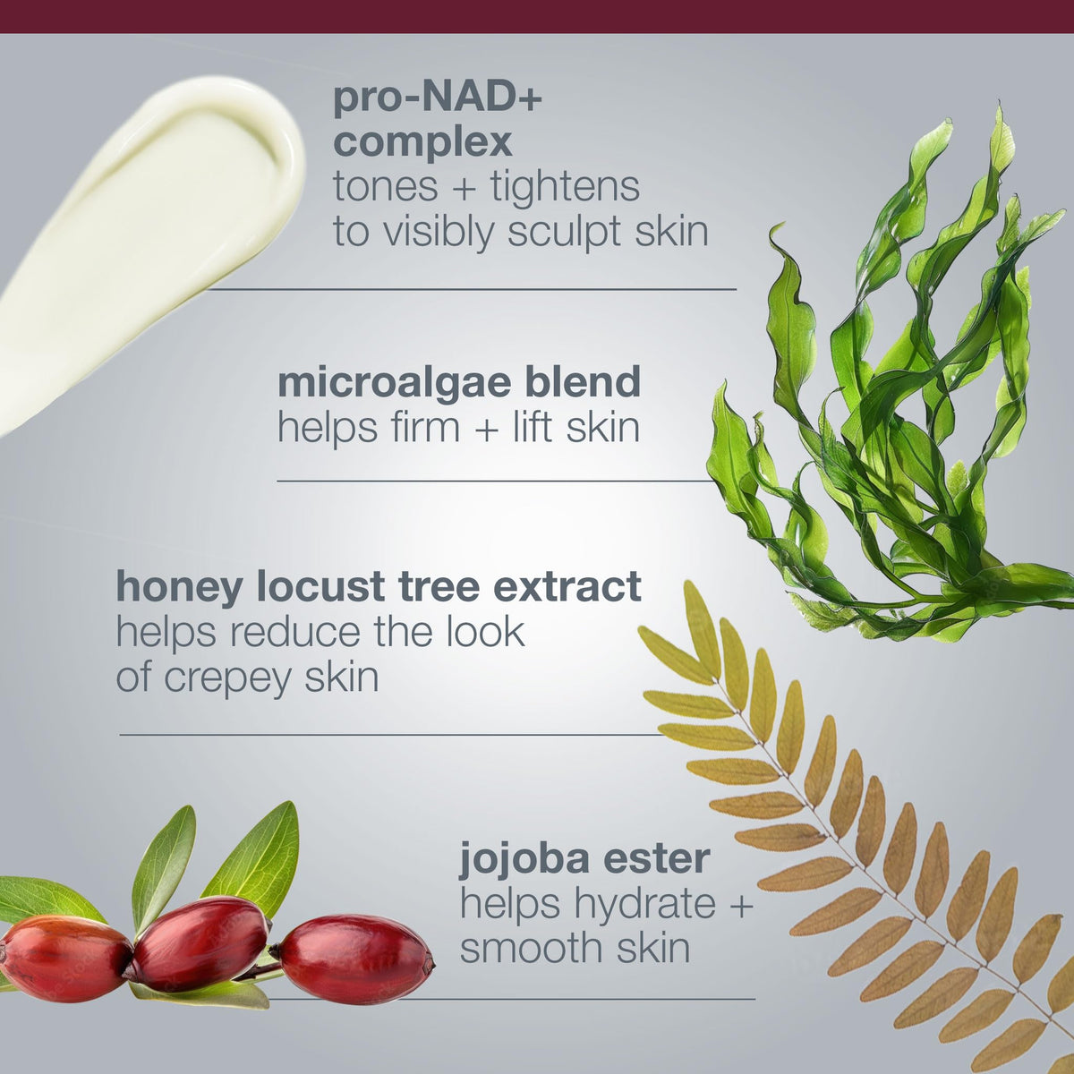 Dermalogica ingredient label closeup featuring Pro-NAD+ Complex and key actives