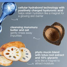 Dermalogica with murumuru butter ingredient visual for softening benefit