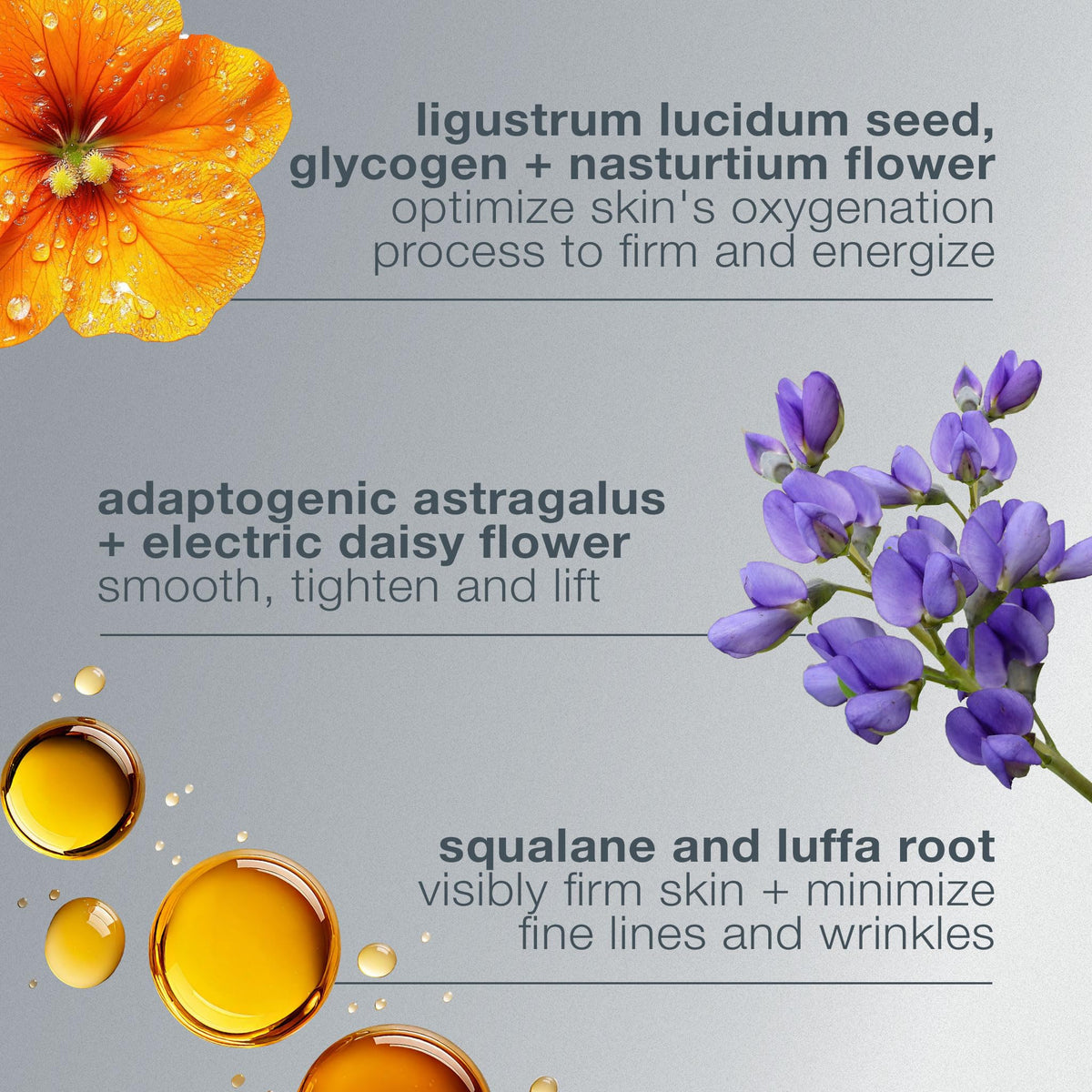 Dermalogica ingredient label close-up highlighting plant actives benefit