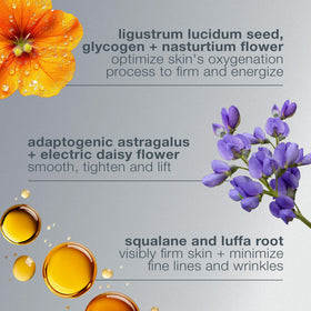 Dermalogica ingredient label close-up highlighting plant actives benefit