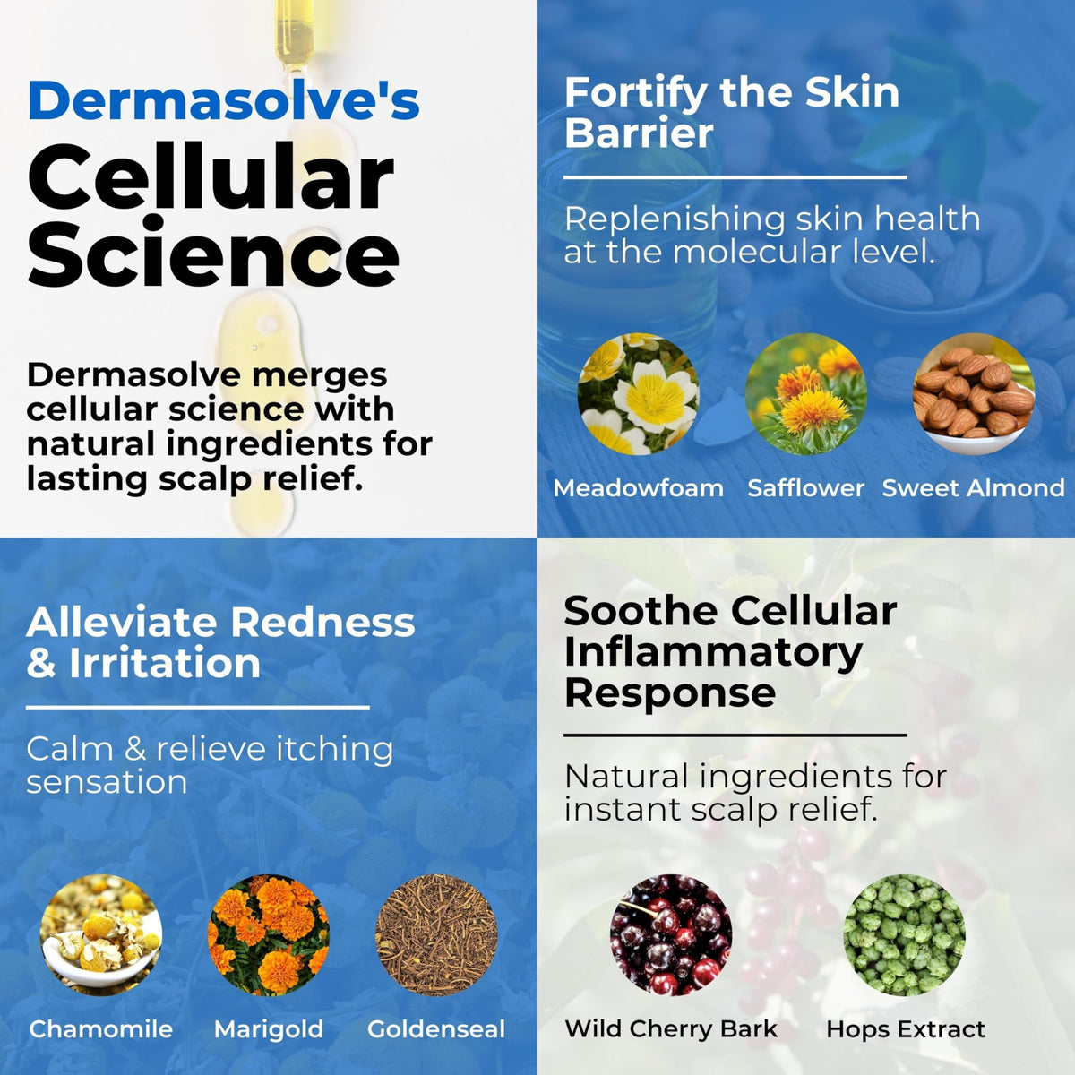 Dermasolve ingredients display including chamomile and almond oil benefits