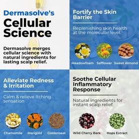 Dermasolve ingredients display including chamomile and almond oil benefits