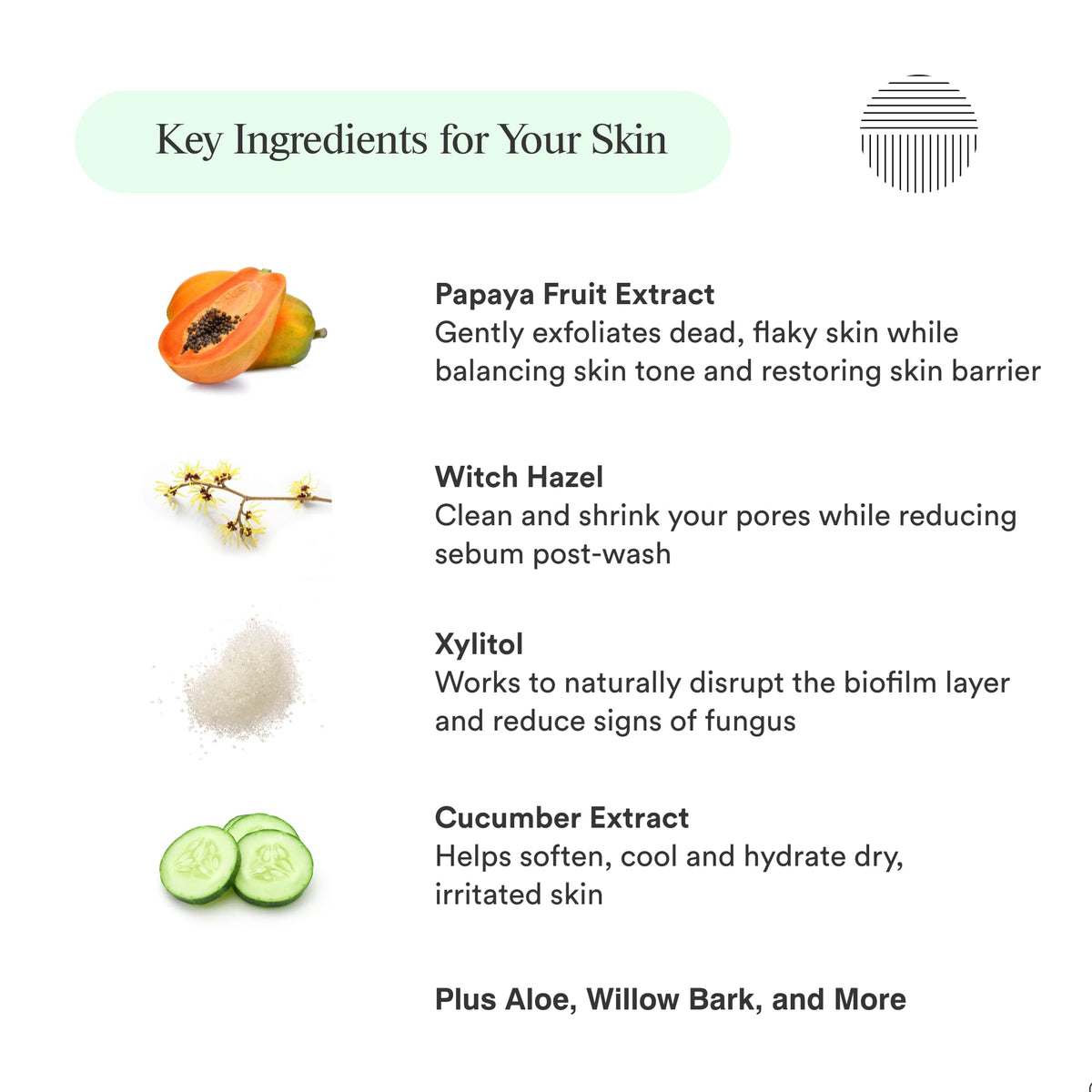 Dermazen label close-up showing ingredient list for transparent formula information