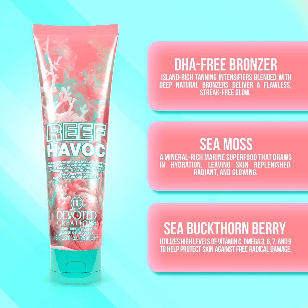 Devoted Creations ingredients flatlay with sea moss and blue algae implying nourishing formula