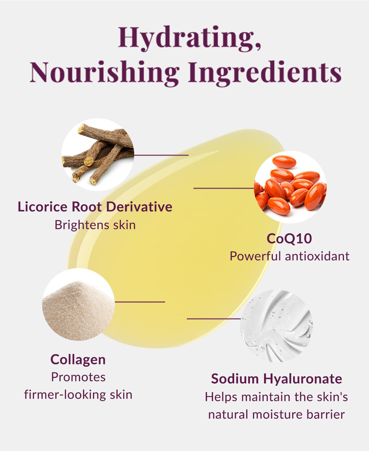 DHC CoQ10 lotion with organic olive oil visual highlighting nourishing lipids