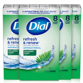 Dial Mountain Fresh front packaging showing bars and scent, promotes clean confidence