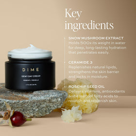 DIME ingredients display with rosehip and ceramide showing antioxidant support