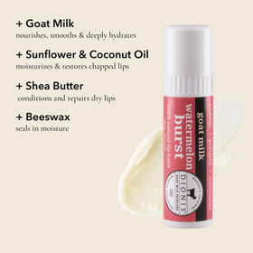 Dionis goat milk jumbo open texture closeup highlighting creamy moisture