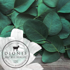Dionis lifestyle on bathroom counter suggesting daily routine use and visible convenience