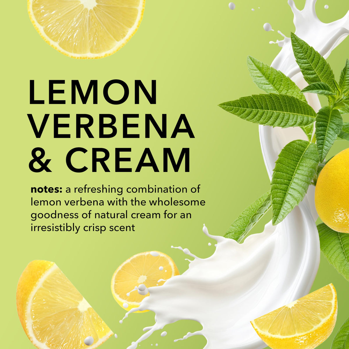 Dionis lemon verbena and cream visuals conveying fresh comforting aroma