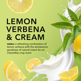 Dionis lemon verbena and cream visuals conveying fresh comforting aroma