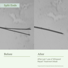 Divi mask scale with hand for size reference and travel-friendly benefit