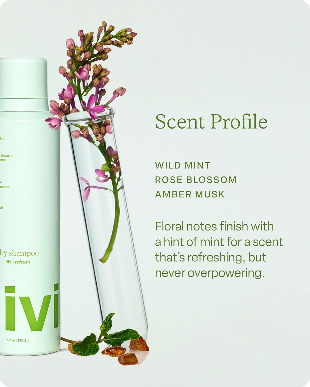 divi application at roots on dark hair demonstrating lift and reduced oil
