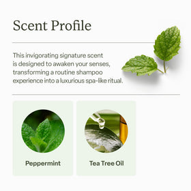 Divi scalp massage applying product to show improved scalp clarity benefit