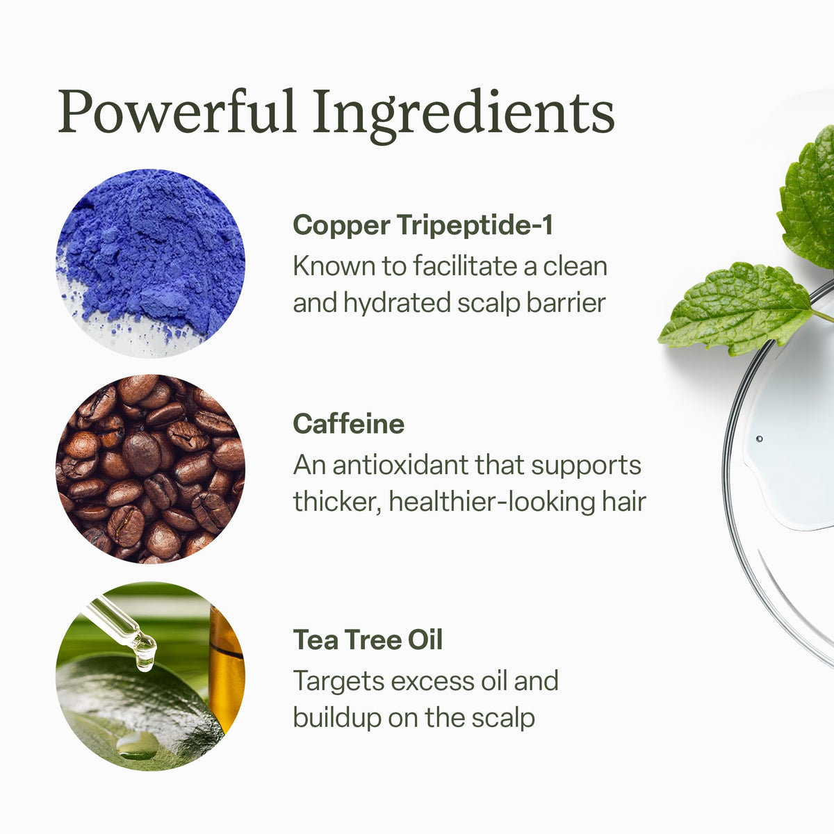 divi applying serum directly to scalp demonstrating easy daily use benefit