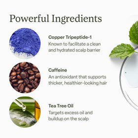 divi applying serum directly to scalp demonstrating easy daily use benefit