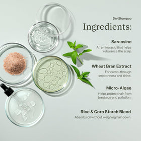 divi texture close-up showing starchy powder for oil absorption and volume
