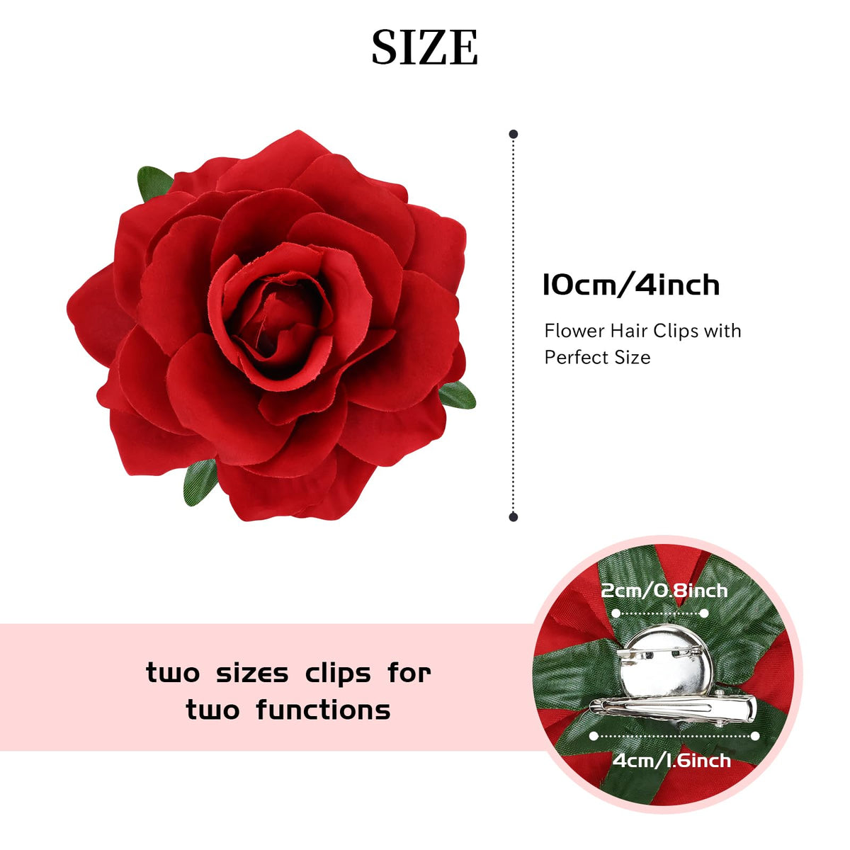 Dizila rose next to ruler showing 10cm diameter scale for size clarity and purchase confidence