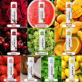Dmsky top view of assorted flavor tubs highlighting colorful selection