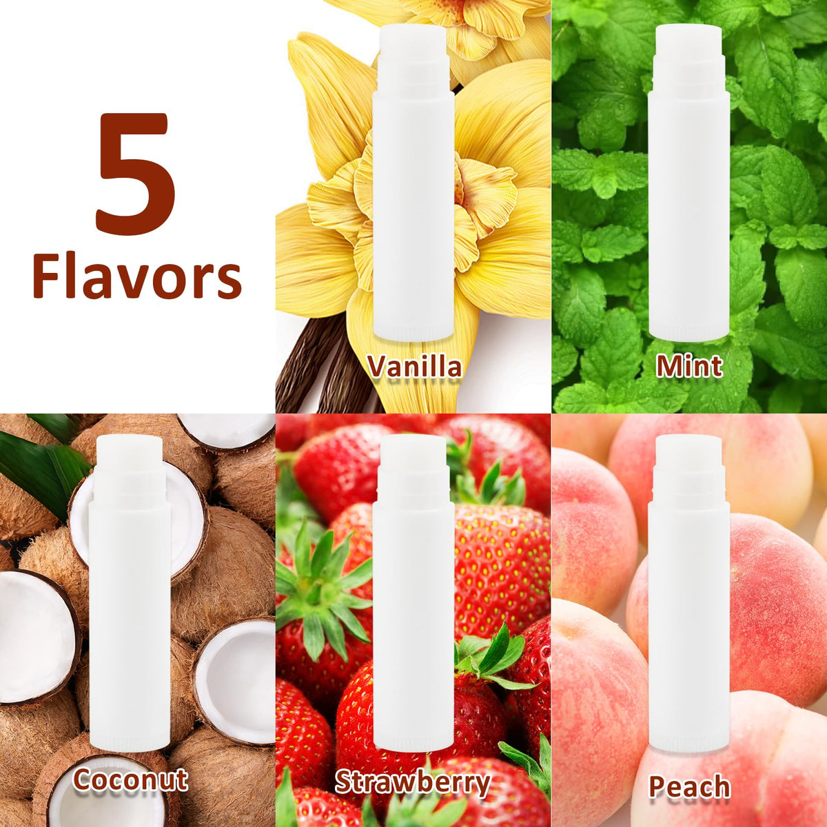 Dmsky five flavors arranged top view highlighting variety and selection for guests