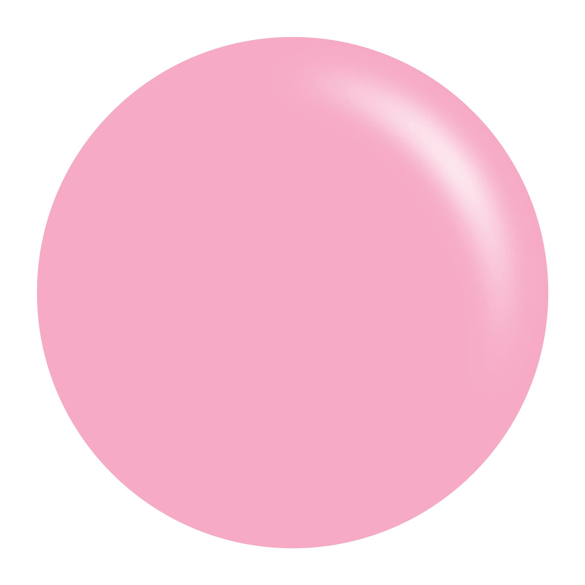 DAISY DND color swatch of Creamy Macaroon illustrating true shade accuracy