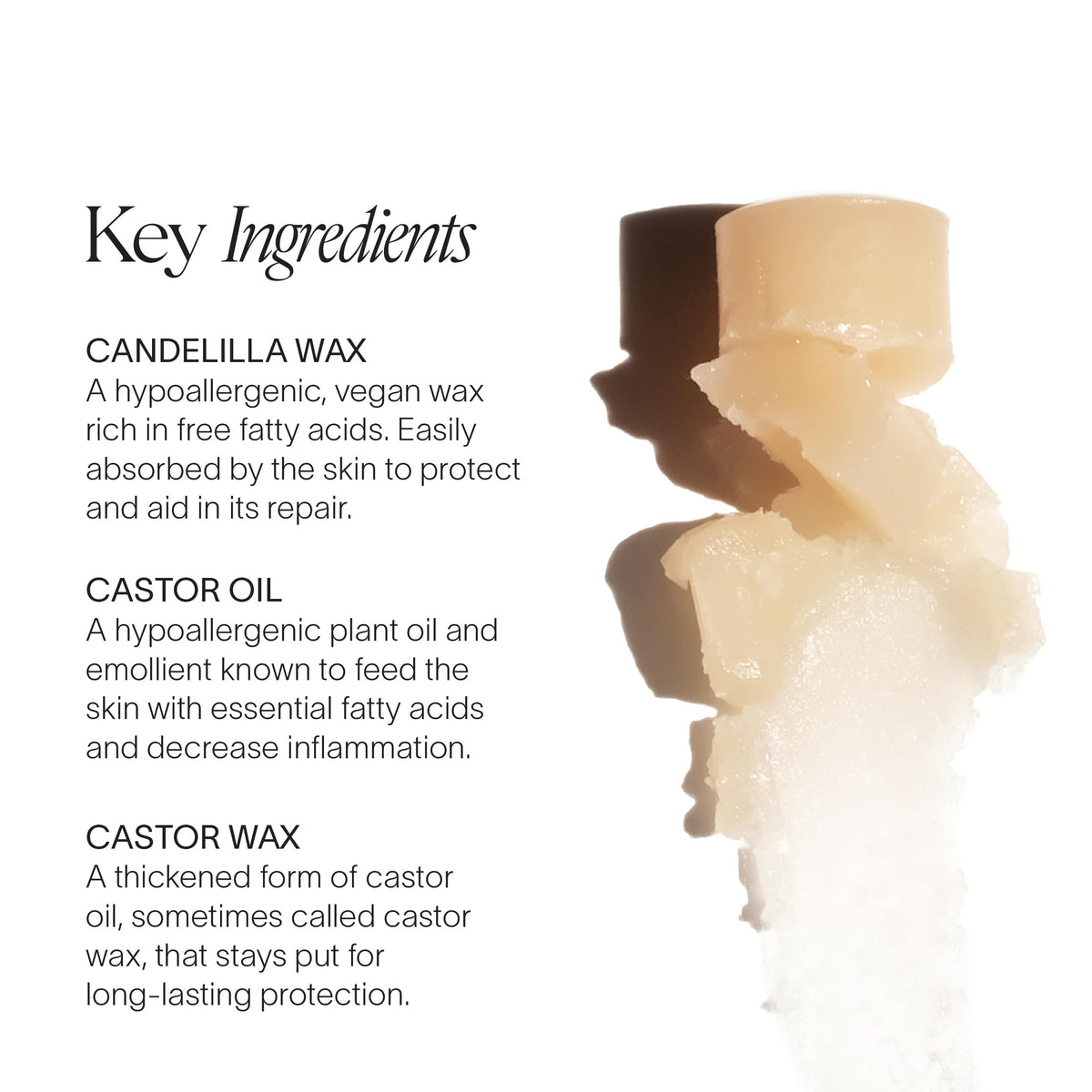 Doctor Rogers lip balm beside natural ingredients highlighting clean formula benefits