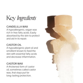 Doctor Rogers lip balm beside natural ingredients highlighting clean formula benefits