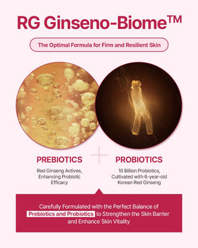Donginbi red ginseng root close-up, showing natural ingredient and restorative benefits