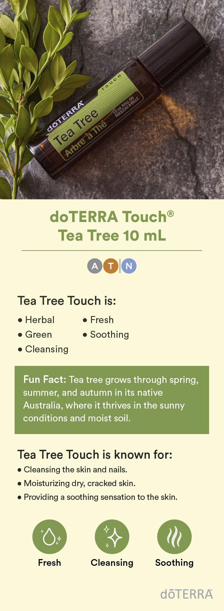 doTERRA Melaleuca Touch rollerball close-up delivering precise application benefit