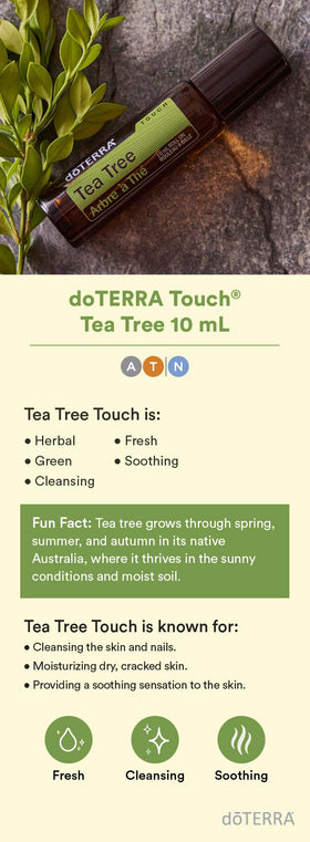 doTERRA Melaleuca Touch rollerball close-up delivering precise application benefit